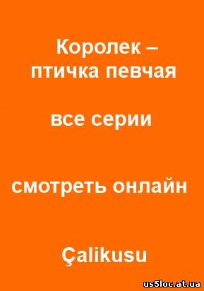 Королек – птичка певчая (2013) 26, 27, 28, 29, 30 серия на русском языке